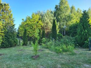 Domek letniskowy nad Wkrą