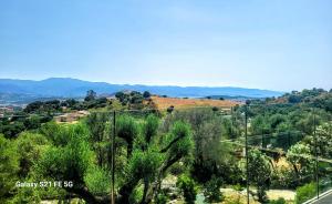 Haut de villa aux portes dAjaccio
