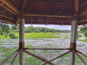 Nellu - Tranquil Pool Villa & Organic Farmstay near Varkala