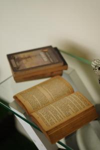 Social Safari Hostel, PARK STREET