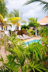 Cactus lodge Zanzibar