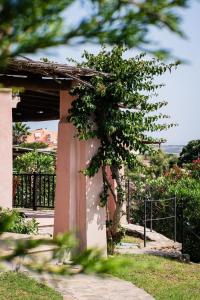 Villa Agosto - Piscina privata img38