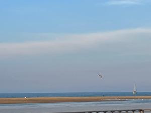 Appartements Duplex with sea view Leucate La Franqui : photos des chambres