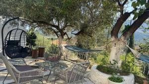 Basil & Guest House