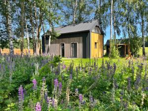 Domek na Kaszubach - Pierszczewo