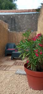 Entre ciel et Sèvre