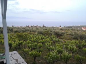 The Iconpainter Kalamaki Villa