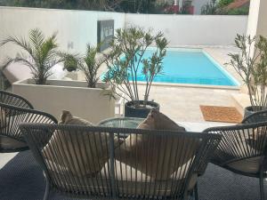 SEA VIEW LUXURY PENTHOUSE WITH SAUNA, JACUZZI AND POOL in VILLA ZADAR SUPERIOR