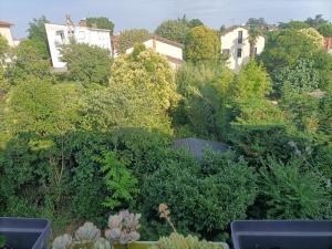 Appartements appartement Deux pieces au calme : photos des chambres