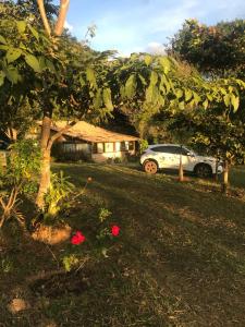 Casinha de campo na mata preservada