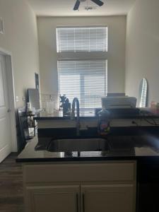 Luxury Apartment UConn