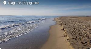Appartement vue sur mer Le Grau du Roi