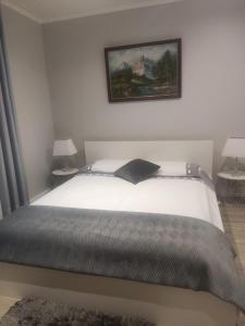 Appartements Le Bellevue : photos des chambres