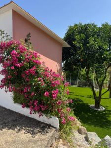 Casas Bemposta