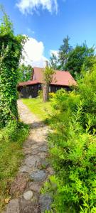 Domek wypoczynkowy Gowidlino