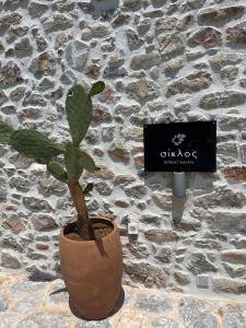 Σουίτα ΣΙΚΛΟΣ στο Καραβοστάσι Ν Οιτύλου Μάνης