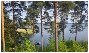 RANTATALO ONNELAN LUMO 12 hlöä- 220m2 Himos 10min autolla