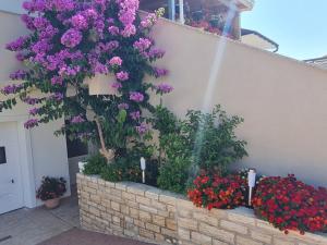 Apartman "Flower Garden"