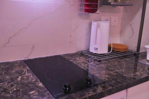 Appartements Albert2 Charming appt Paris13 : photos des chambres