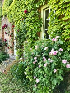 Maisons de vacances Havre de paix au coeur de la campagne : photos des chambres