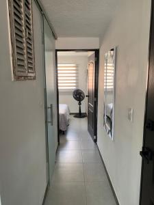 Natural charm in Medellín