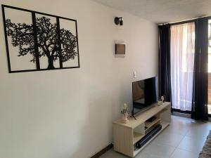 Natural charm in Medellín