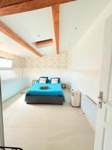 Maisons de vacances Maison 8 T2 Jacuzzi et Jardin : photos des chambres