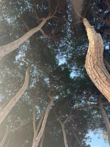 BOUGANVILLE casa vacanza ambiente climatizzato con wi fi