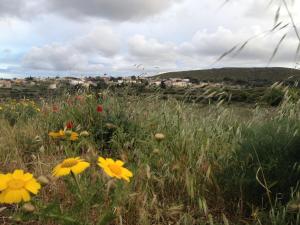 Villa Lemonia - Guest House Kythira Greece