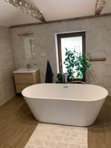 Stonava-Mexiko, industry&pohoda-klid