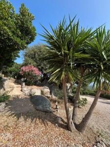 Villa Roccapina - Porto-Vecchio