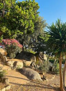 Villas Villa Roccapina - Porto-Vecchio : photos des chambres