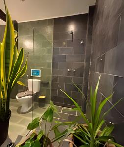 Explorer Bar - Tropical Room