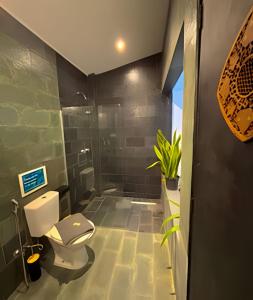 Explorer Bar - Tropical Room