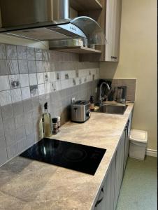 Riga Alfreda Apartaments