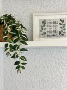 Meraki luxury city center apartment Thessaloniki