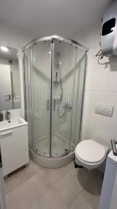 Blue Penguin - Offer for Digital nomads