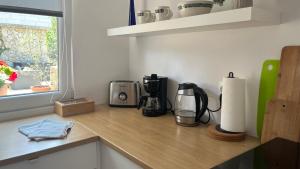 Blue Penguin - Offer for Digital nomads