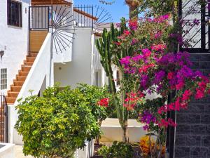 Comfortable Apartment with Pools