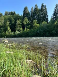 На березі Черемошу