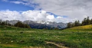 Appartements Joli studio confortable et tout equipe au pied du col d-Izoard : photos des chambres