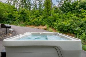 Bear Cage By Avada Properties