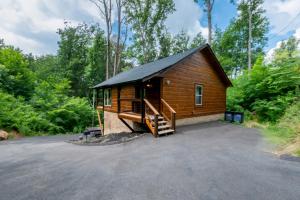 Bear Cage By Avada Properties