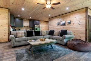 Bear Cage By Avada Properties