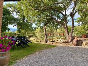 Agriturismo Colle Sereno