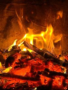 На березі Черемошу