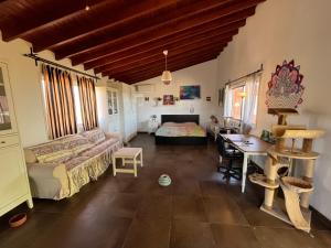 Digital Detox with 100 Animals Nature Stay
