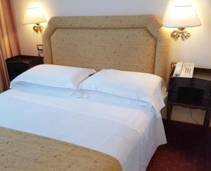Small Double Room with French Double Bed room in Hotel Biasutti