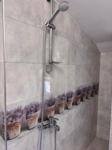 Guest House Nikolovi