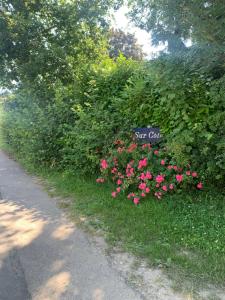 Maisons de vacances Sur cote en Dombes : photos des chambres